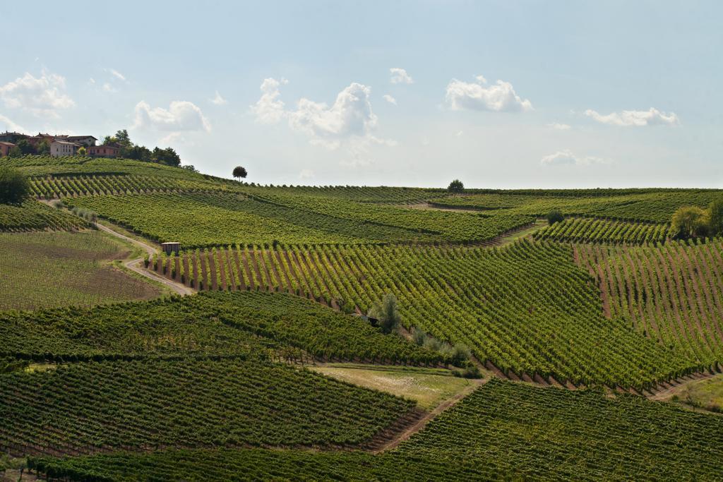 Il Poggio B&B San Damiano al Colle Eksteriør billede